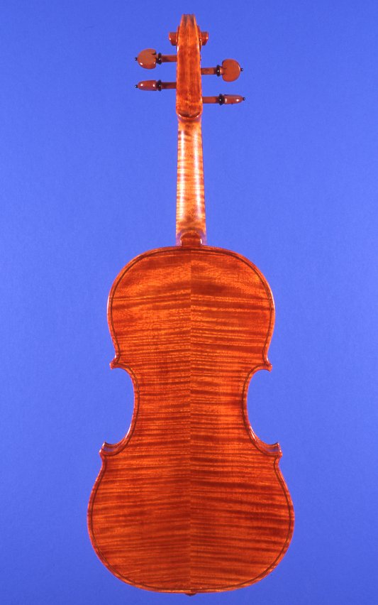 Full Page Fried del Gesu Violin Back