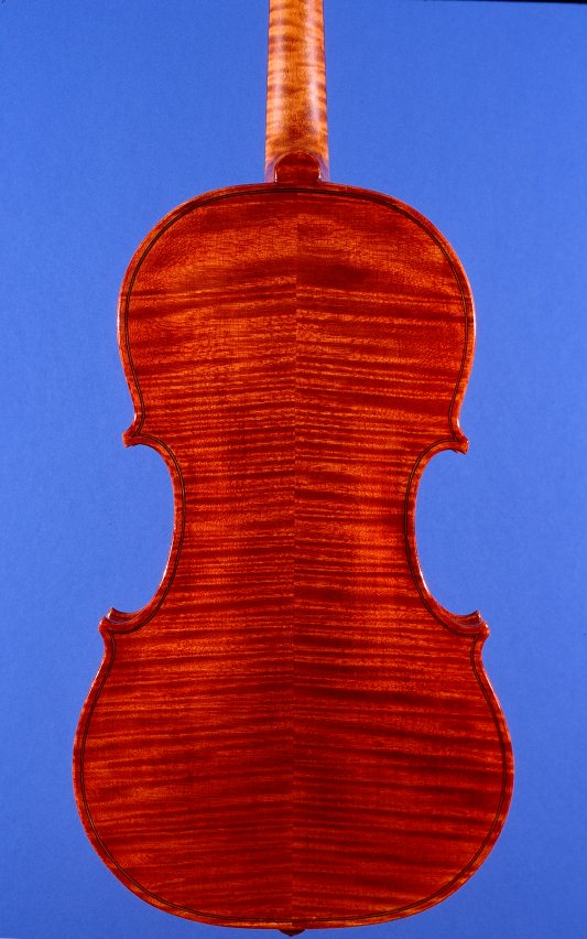 Full Page Fried del Gesu Violin Back Closeup