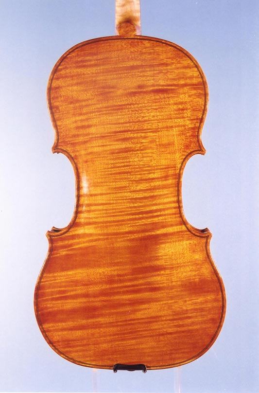 Full Page Fried Viola Back