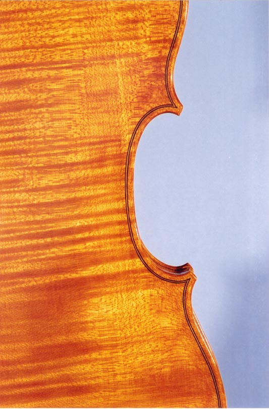 Full Page Fried Viola Back