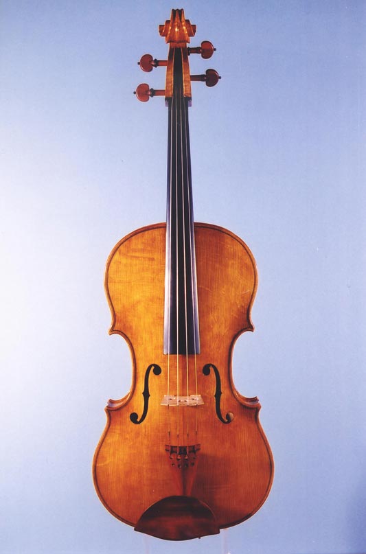 Full Page Fried Viola Front