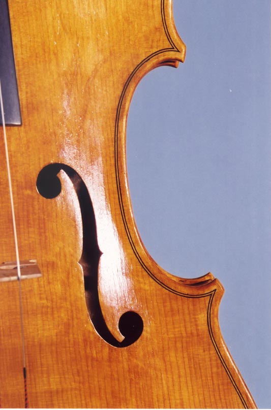 Full Page Fried Viola Back