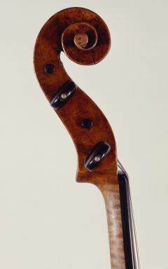 Gaspar Viola Scroll