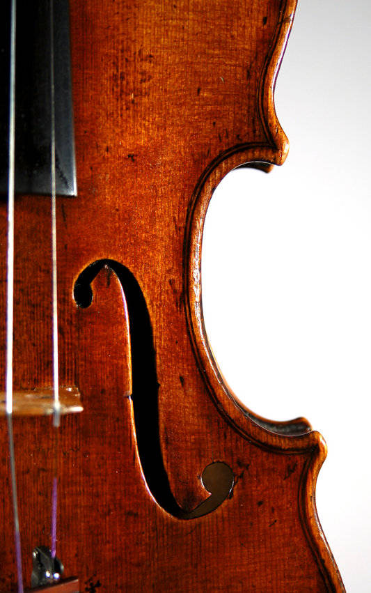 Full Page 1779 J.B. Guadagnini Violin Bass F