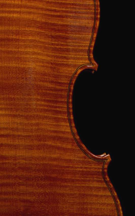 Full Page Taturo Udagawa Violin Back Closeup