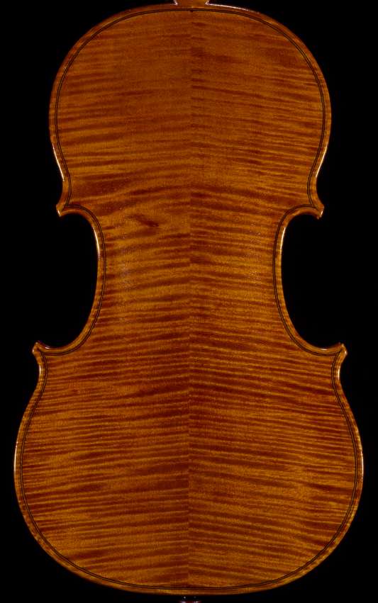 Full Page Yoichi Udagawa Violin Back Closeup